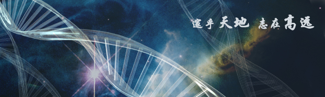 Application and Exploration